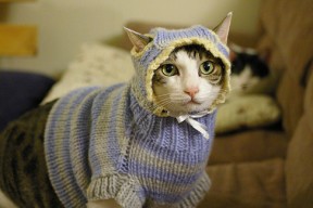 -美洲杯中出现的战术新趋势，美洲杯中出现的战术新趋势有哪些