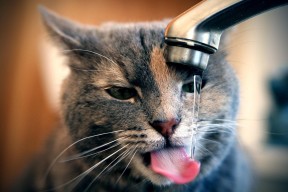 -新闻中心完成生产线升级，生产新闻报道