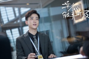 -德国队的赛制应对：国际乒联混合团体世界杯挑战与机遇，德国乒乓球职业联赛