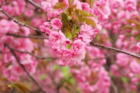 -中国足球职业联赛组织多赛季技术风格对比研究，目前我国足球职业联赛有