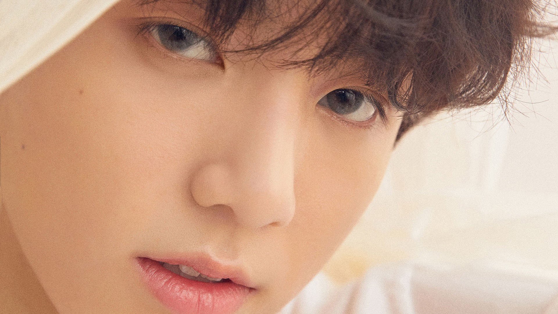 “武术精英汇聚高新体育中心,冠军之争即将上演”