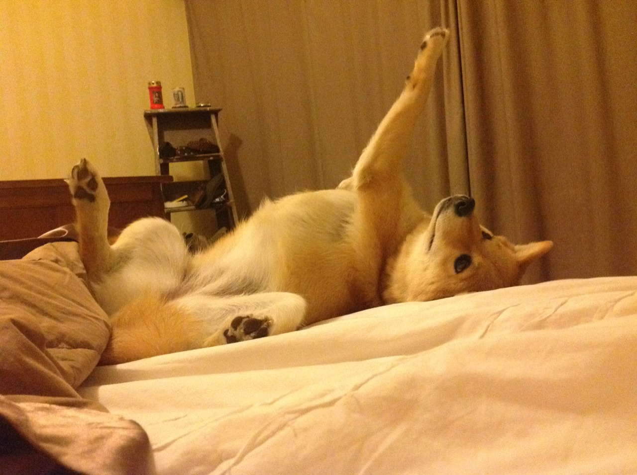 球队是否根据战术回合数配置换人节点,足球战术换人