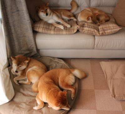 欧洲杯预热活动提前拉开,全球关注度持续升高,欧洲杯提示