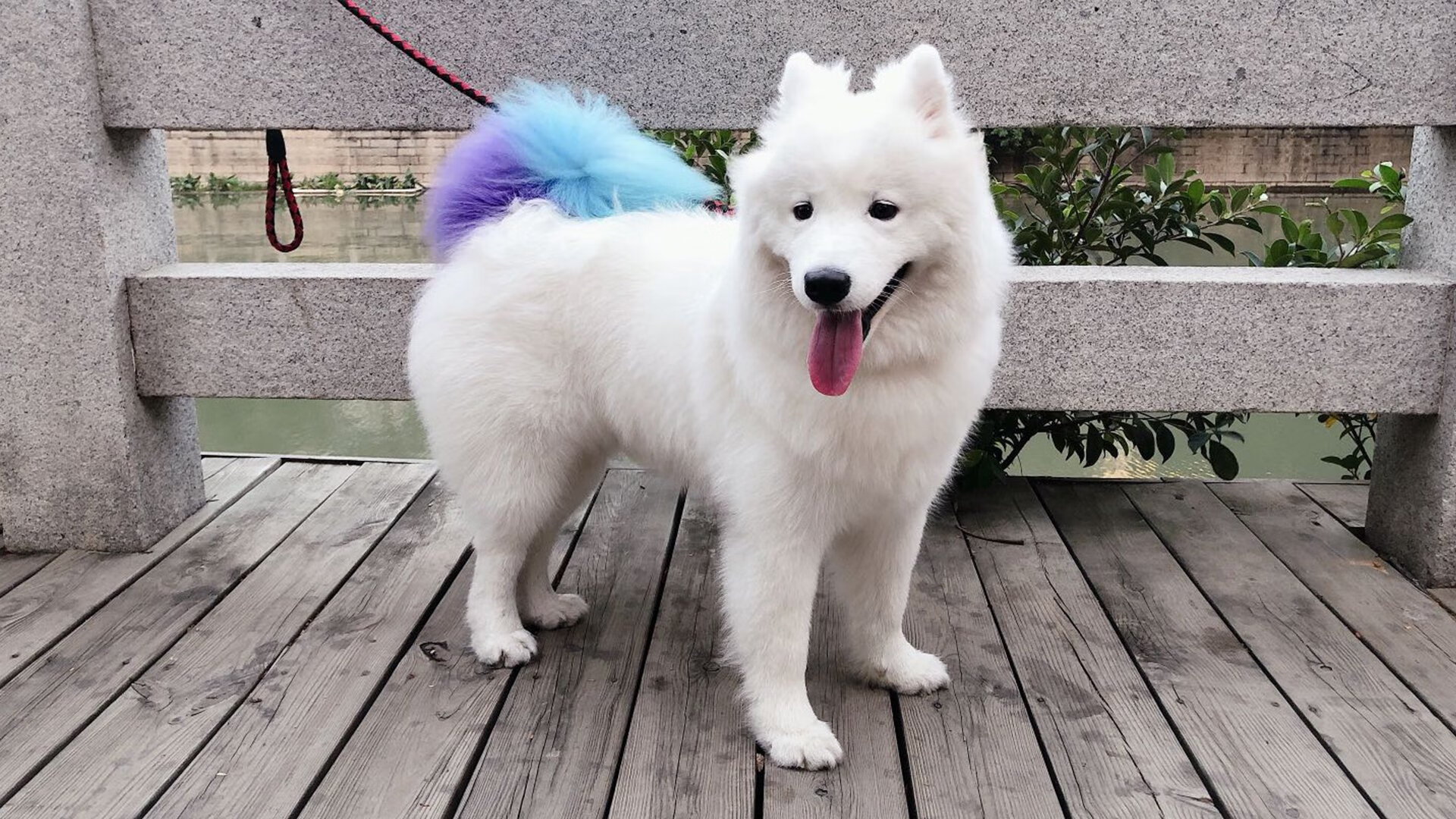 步行者传球流畅单节助攻达到两位数，步行者50佳球