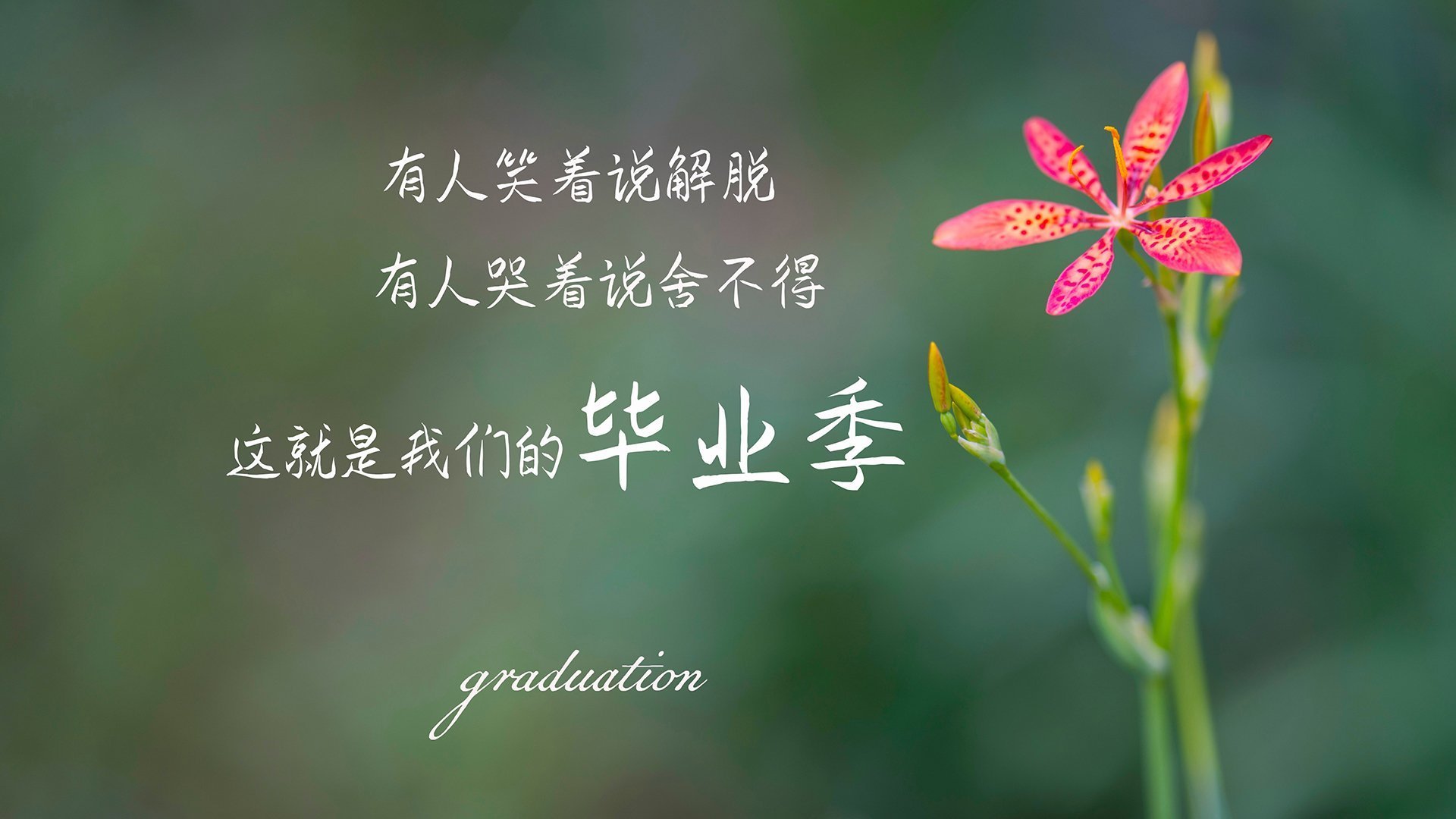 田径运动体能评估体系优化实施，田径 体能