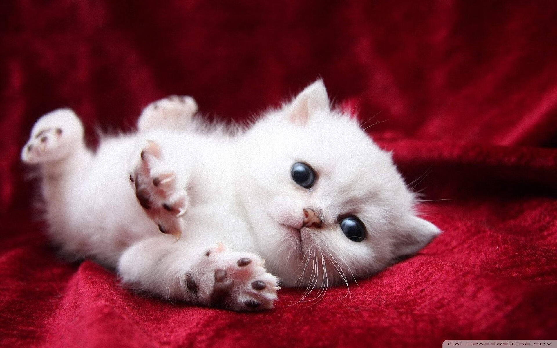 篮球文化推广活动持续开展促进群众体育参与和健康生活，篮球活动宣传语怎么写