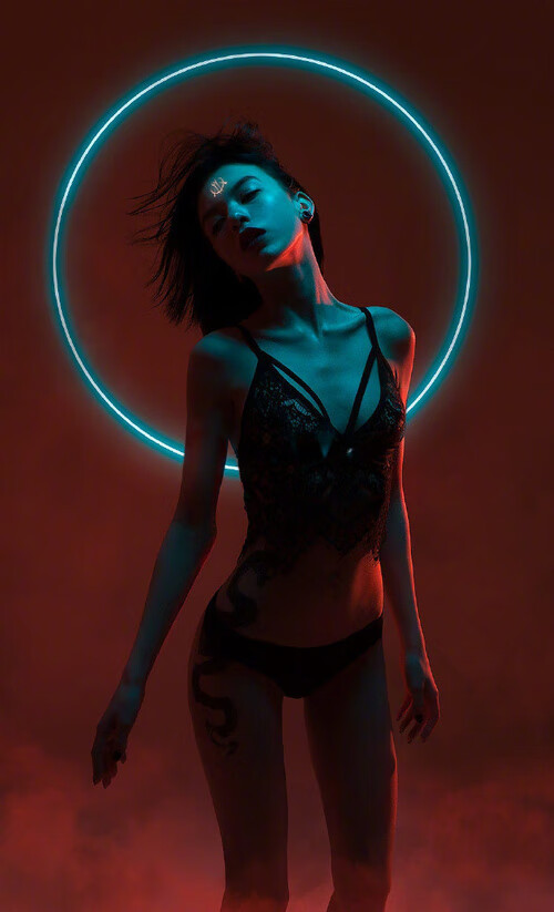 自由泳预赛比利时选手全部晋级，2020自由泳比赛