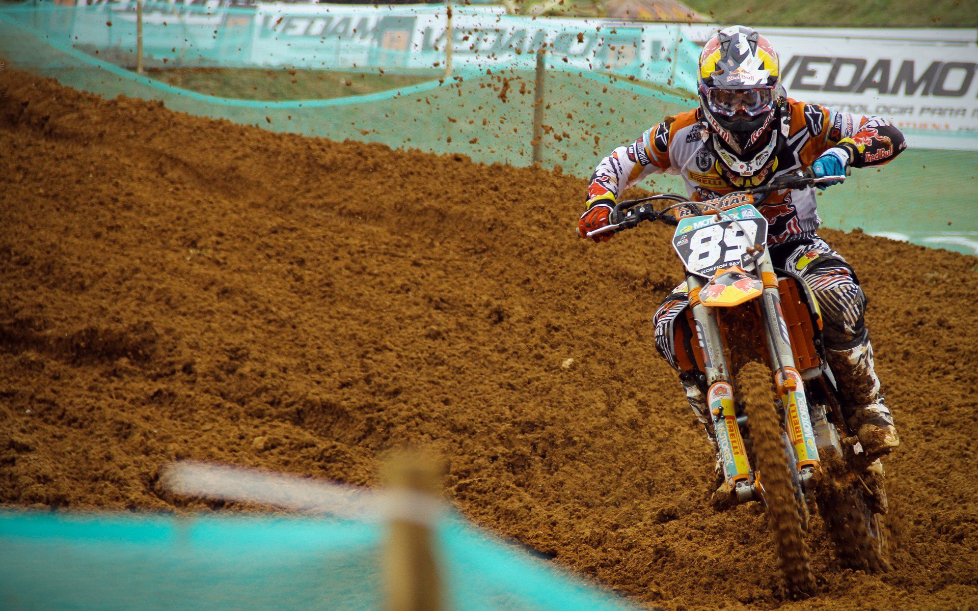 世界杯:组委会公布“球迷行为守则” 明确反种族主义与性别歧视底线